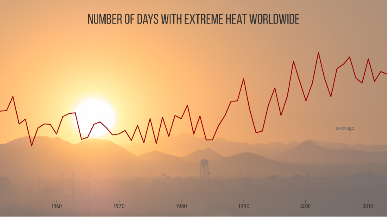 2017 was one of three warmest years on record international